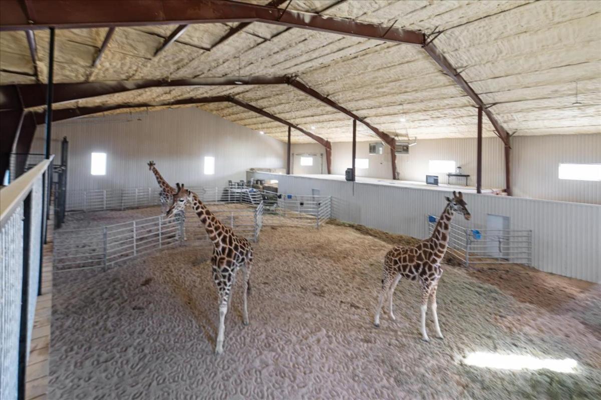 Blue Hills Ranch Hotel McGregor Buitenkant foto