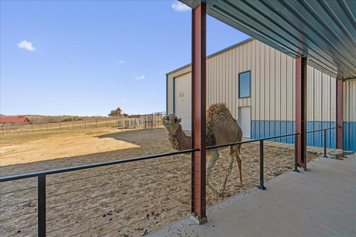 Blue Hills Ranch Hotel McGregor Buitenkant foto
