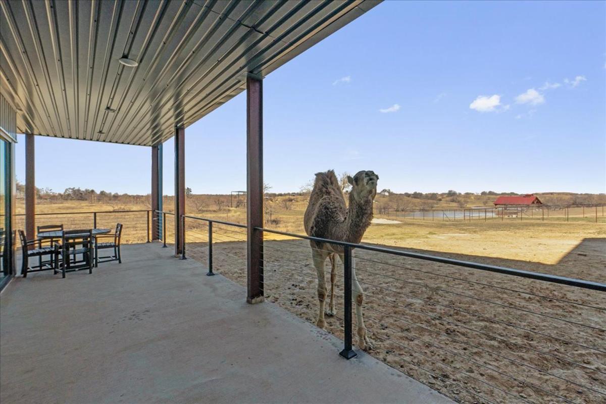 Blue Hills Ranch Hotel McGregor Buitenkant foto